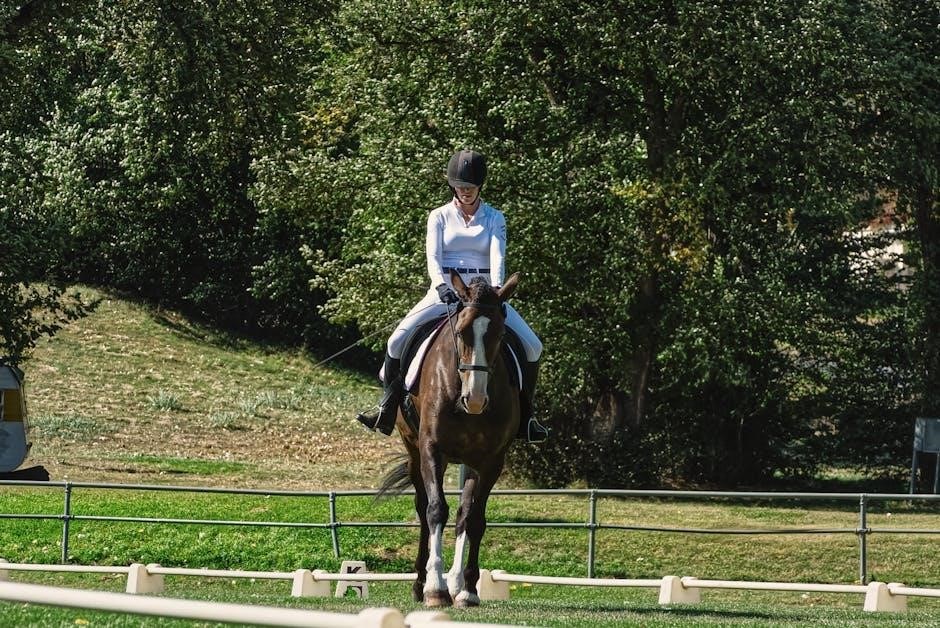 Download MSF Basic Rider Course Handbook PDF | Free Guide